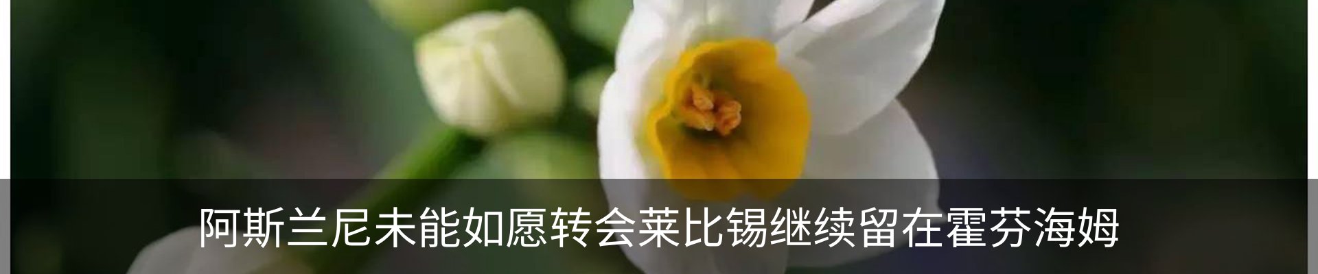 新闻动态